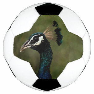Pfauenprofil Fußball