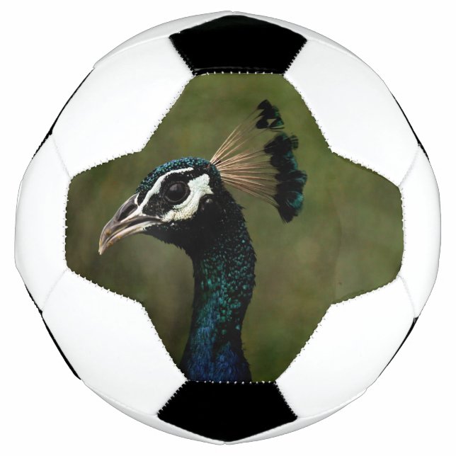Pfauenprofil Fußball (Vorderseite)