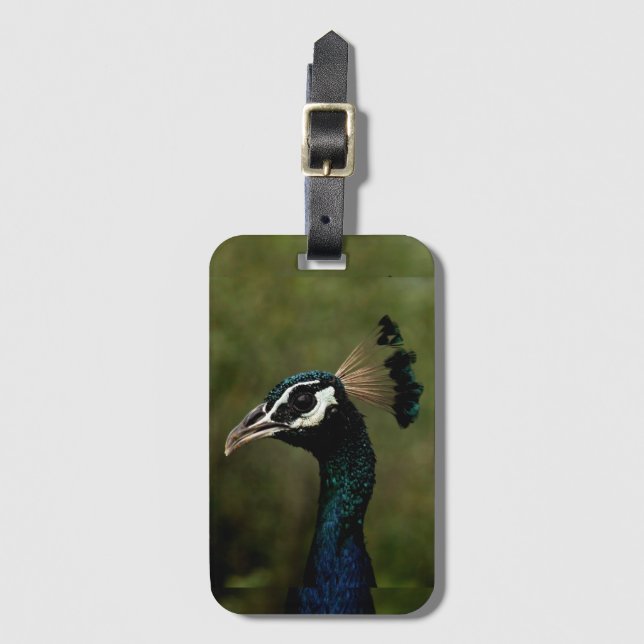 Pfauenprofil Gepäckanhänger (Vorderseite Vertikal)