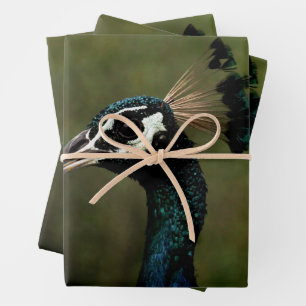 Pfauenprofil Geschenkpapier Set