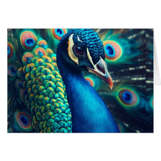 Pfauenprofil im Inneren (Vorderseite (Horizontal))