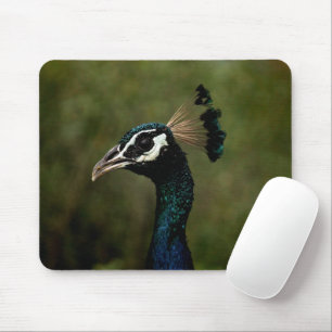 Pfauenprofil Mousepad