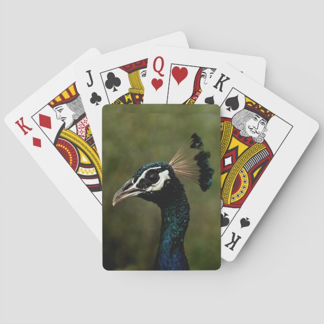 Pfauenprofil Spielkarten (Rückseite)