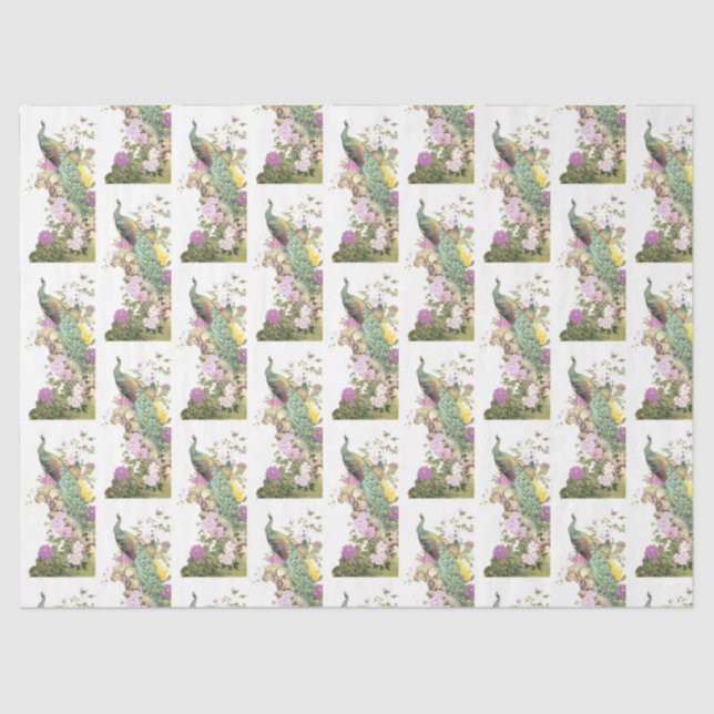 Pfauenreihe 5 seidenpapier (Vorderseite)