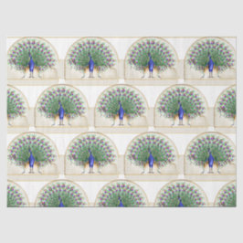 Pfauenreihe Design 8 Seidenpapier