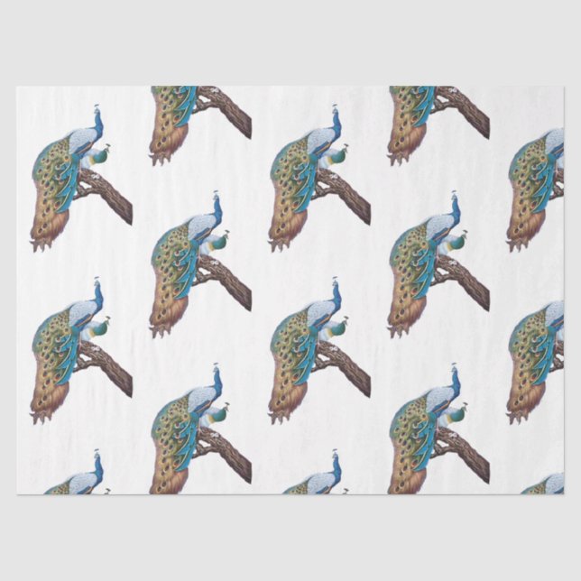 Pfauenreihe - Design 9 Seidenpapier (Vorderseite)