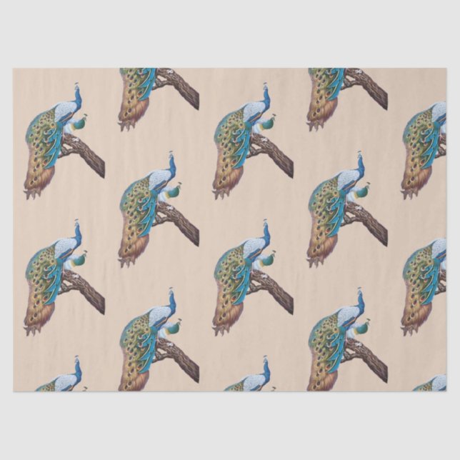 Pfauenreihen Design 9 - braunes Gewebepapier Seidenpapier (Vorderseite)