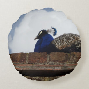 Pfauenrundpilz Rundes Kissen