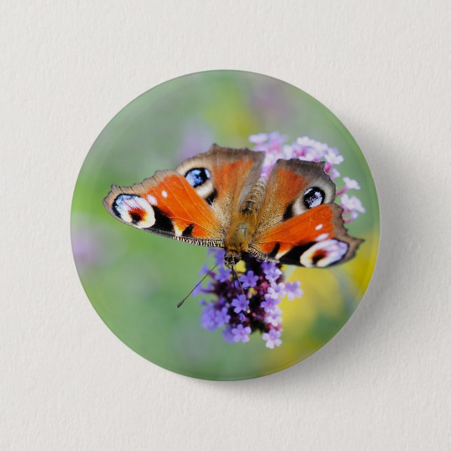 Pfauenschmetterling Button (Vorderseite)