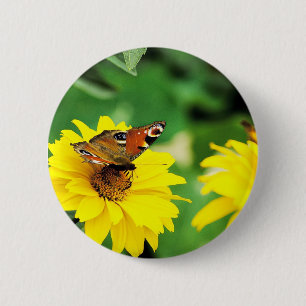 Pfauenschmetterling - Schaltfläche Button