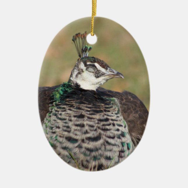 Pfauenschmuck Keramik Ornament (Vorne)