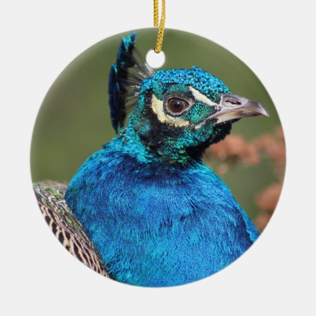 Pfauenschmuck Keramikornament (Vorne)