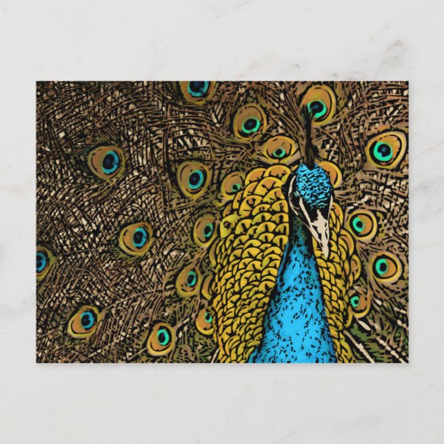Pfauensplendor-Illustration Postkarte (Vorderseite)