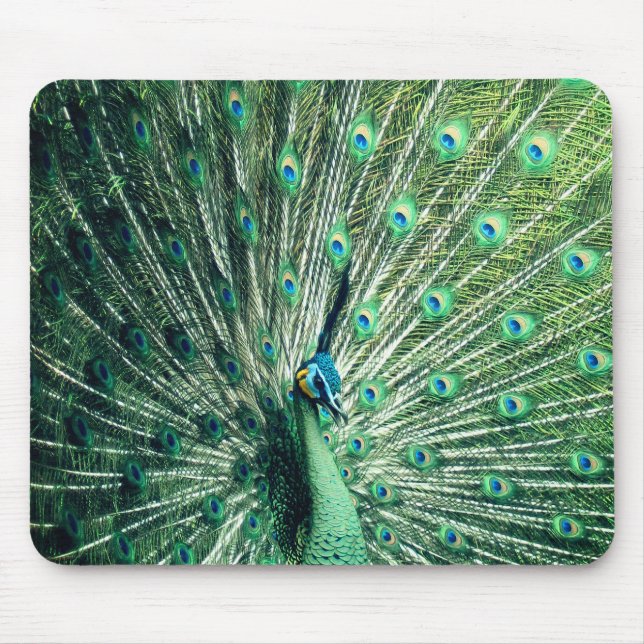 Pfauenstolz  mousepad (Vorne)