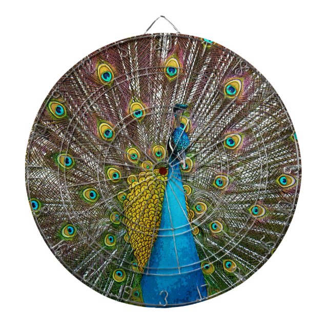 Pfauenvögel mit Royal Plumage auf Display Dartscheibe (vorne)