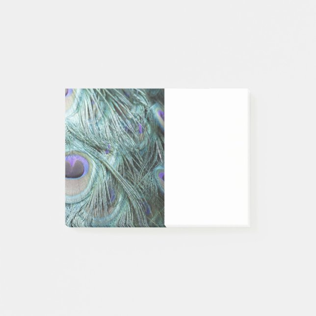 Pfaufedern Post-it Klebezettel (Vorderseite)