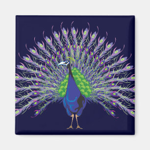 Pfaumagnete Magnet