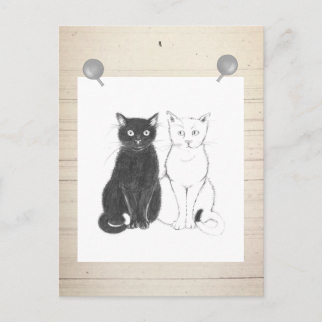 Pfeffer und Salz Postkarte (Vorderseite)