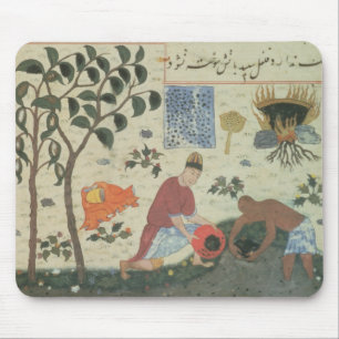 Pfefferbaum Frau-Pers 332 und sich vorbereiten Mousepad