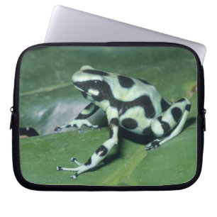Pfeilgiftfrosch, (Dendrobates auratus) Cahuita Laptopschutzhülle