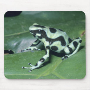 Pfeilgiftfrosch, (Dendrobates auratus) Cahuita Mousepad