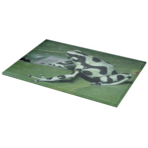 Pfeilgiftfrosch, (Dendrobates auratus) Cahuita Schneidebrett