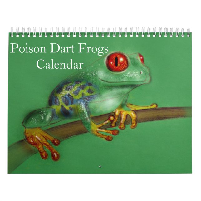 Pfeilgiftfrösche-Kalender 2027 Kalender (Titelbild)