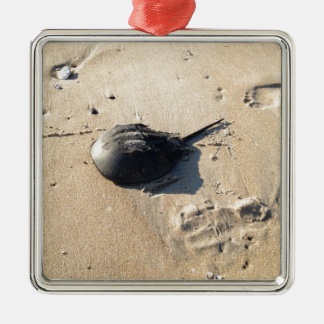 Pfeilschwanzkrebs Ornament Aus Metall