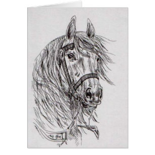 Pferd