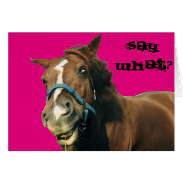 Pferd (Vorderseite (Horizontal))