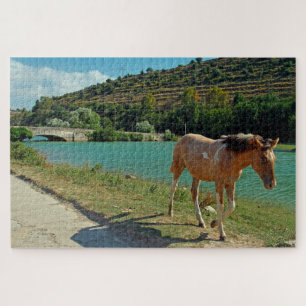 Pferd 1014-pc