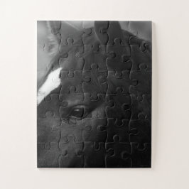 Pferd 11x14 30pc jpcnm