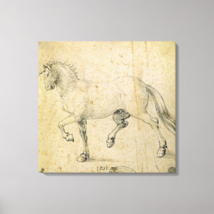 Pferd, 1503 (Feder auf Papier) Leinwanddruck