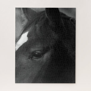 Pferd 16x20 520pc jpcna
