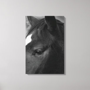 Pferd 16x24 (40x60cm) Waccn Leinwanddruck