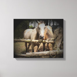 Pferd 1 Stretchierte Canvas Print Leinwanddruck