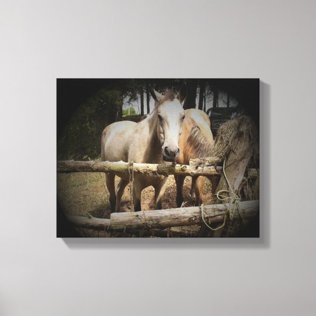 Pferd 1 Stretchierte Canvas Print Leinwanddruck (Vorderseite)