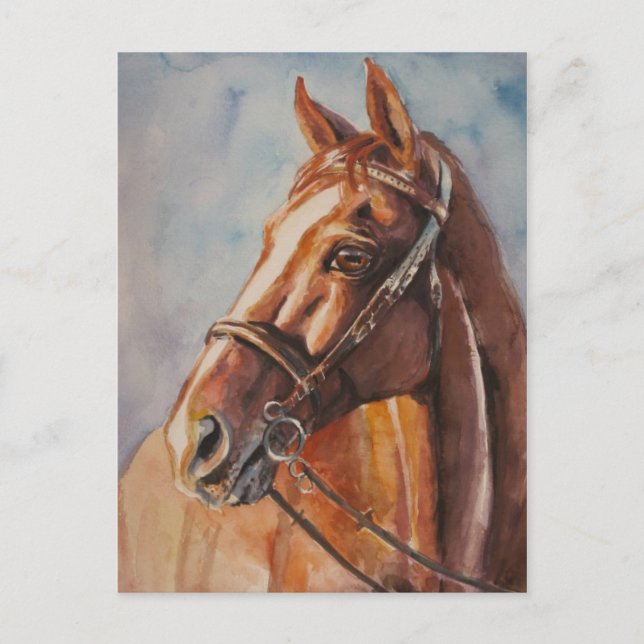 Pferd 2 postkarte (Vorderseite)