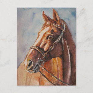 Pferd 2 postkarte