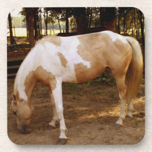 Pferd 3 getränkeuntersetzer