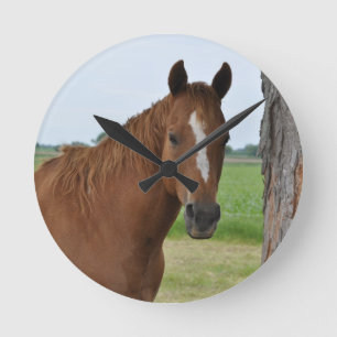 Pferd am Baum Runde Wanduhr