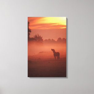 Pferd am Sonnenaufgang Leinwanddruck