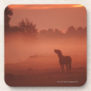 Pferd am Sonnenaufgang Untersetzer