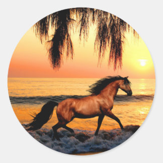 Pferd am Strand bei Sonnenuntergang Runder Aufkleber