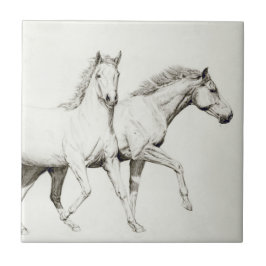 Pferd anpassen fliese