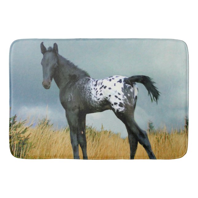 Pferd - Appaloosa-Colt 24" x 6" große Bad-Matte Badematte (Vorderseite)