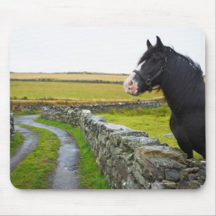 Pferd auf Bauernhof in ländlichem England Mousepad