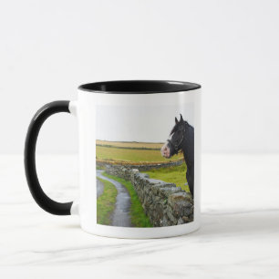 Pferd auf Bauernhof in ländlichem England Tasse