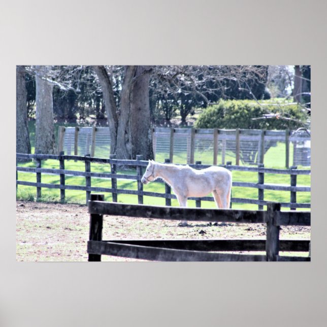 Pferd auf dem Bauernplakat Poster (Vorne)