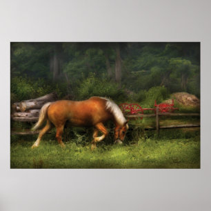 Pferd - Auf der Wiese Poster